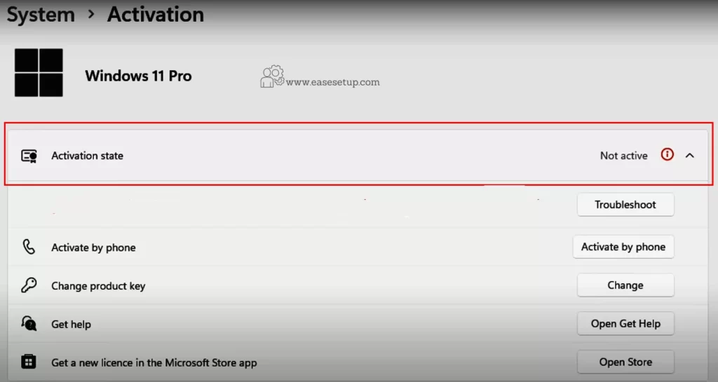 Windows 11