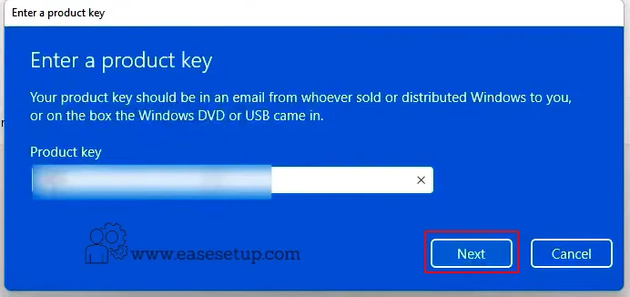 Windows 11