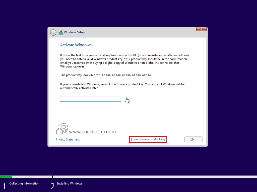 Windows 11